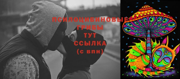 гашик Балахна