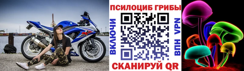 Галлюциногенные грибы мухоморы  наркошоп  OMG tor  Черняховск 